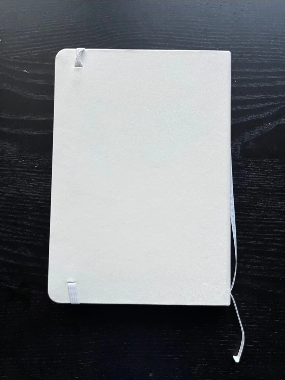 Paperage Datadog Hardcover Lined Journal Notebook White 5.7x8 Elastic Pocket